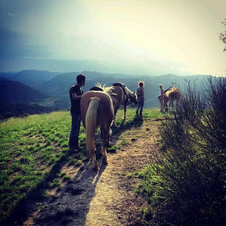 特尔敏高山住宿加早餐旅馆 Rioveggio 外观 照片