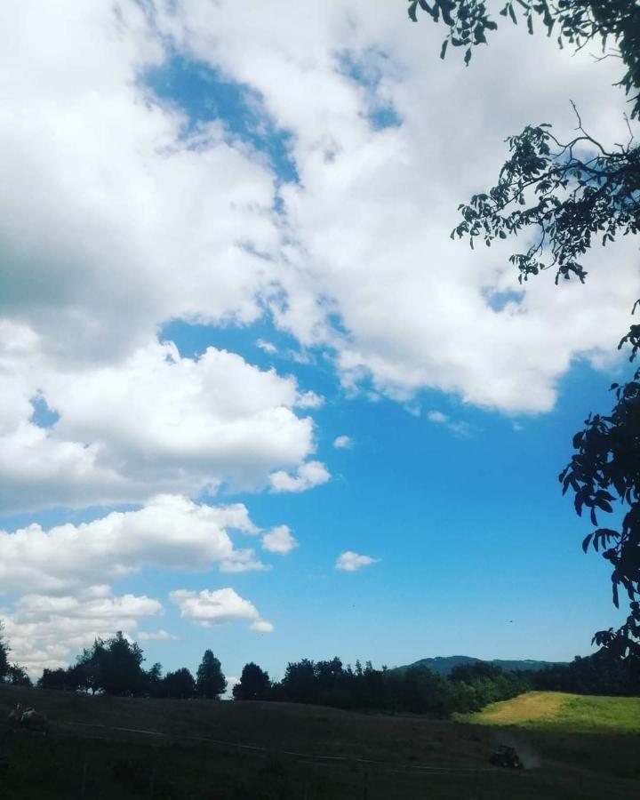特尔敏高山住宿加早餐旅馆 Rioveggio 外观 照片
