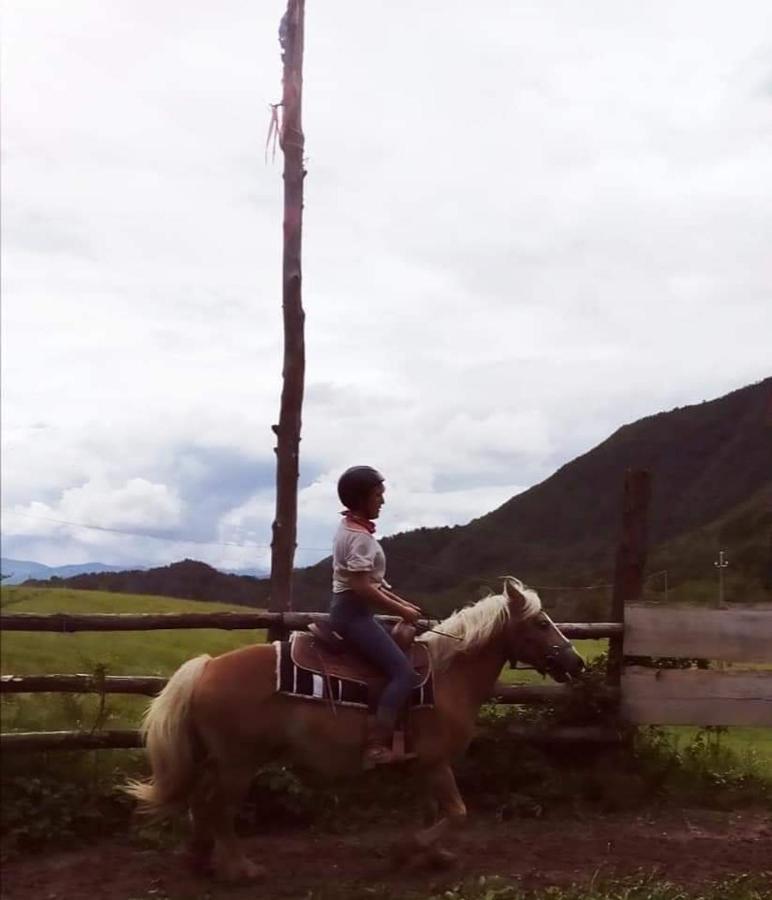 特尔敏高山住宿加早餐旅馆 Rioveggio 外观 照片