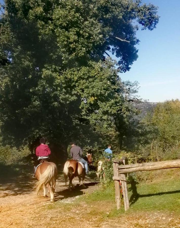 特尔敏高山住宿加早餐旅馆 Rioveggio 外观 照片