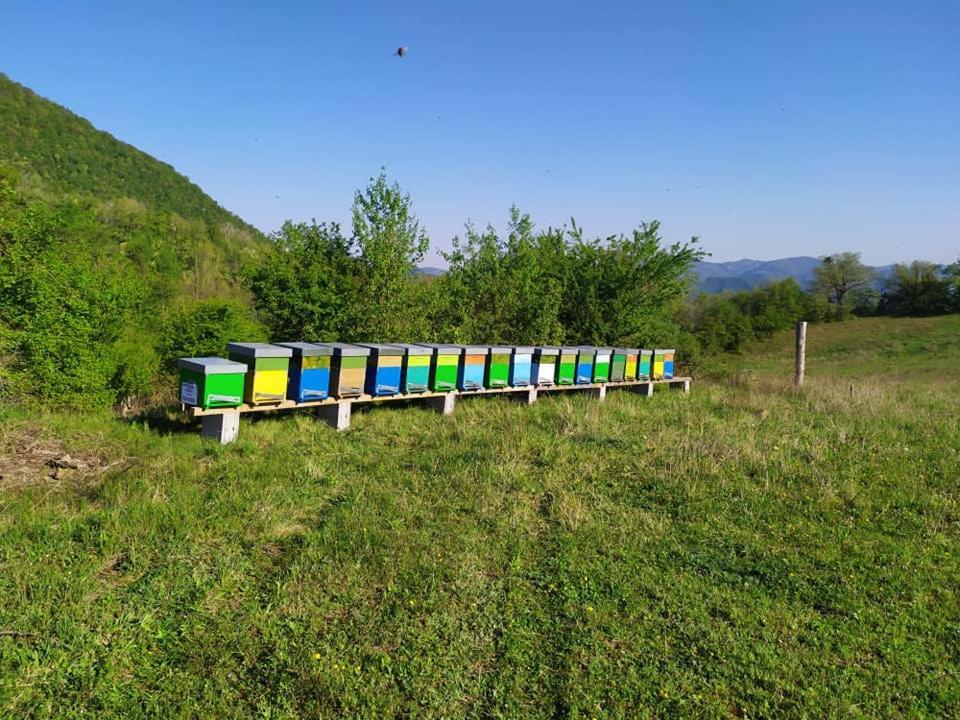 特尔敏高山住宿加早餐旅馆 Rioveggio 外观 照片