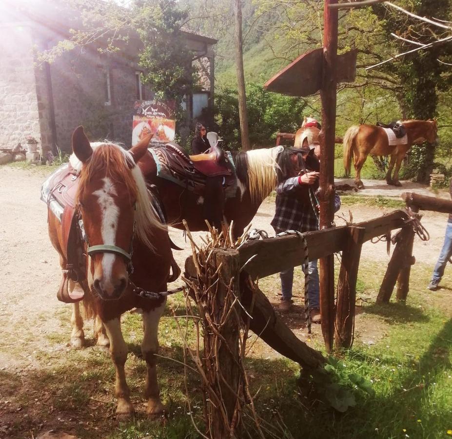 特尔敏高山住宿加早餐旅馆 Rioveggio 外观 照片