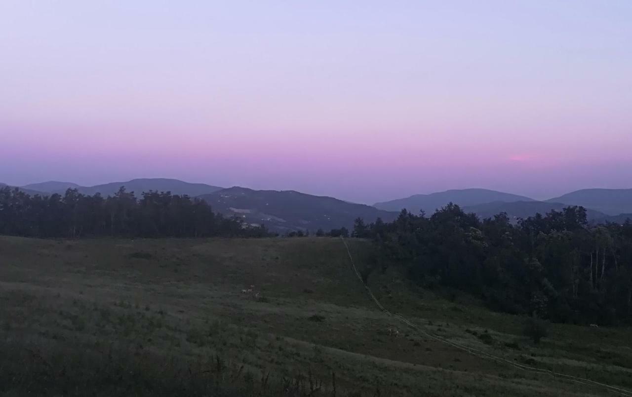 特尔敏高山住宿加早餐旅馆 Rioveggio 外观 照片